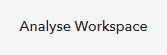 Analyse Workspace button