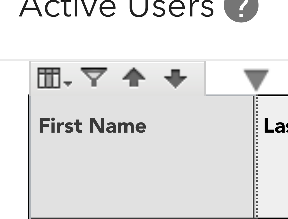 Report Column Options